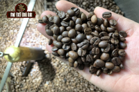 The difference of flavor and taste between medium roasting and deep baking of Brazilian coffee beans is recommended.