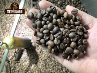 The difference of flavor and taste between medium roasting and deep baking of Brazilian coffee beans is recommended.
