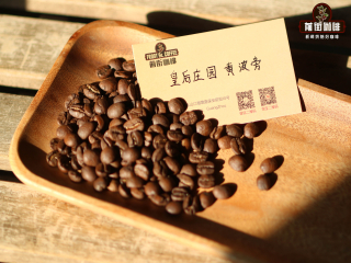Introduction to the brewing taste of Brazilian coffee beans: the story of the origin of cultural cultivation and historical varieties in Brazilian coffee producing areas
