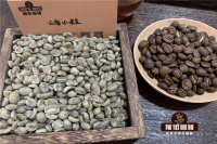 Description of the shape, flavor and taste characteristics of Yunnan Arabica coffee bean varieties