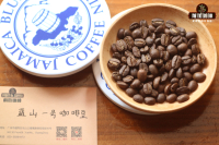 Authentic Blue Mountain Coffee Bean Flavor Taste Characteristics Description Jamaica True Blue Mountain No.1 Coffee Hand Brewed Good