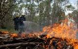 Red warning! Heavy air pollution in Honduras affects coffee industry