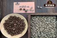 Characteristics of Kenyan AA grade coffee beans introduction to the taste of Kenya washing aa hand flushing flavor