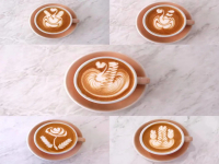 The Origin of Coffee flower