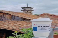 Have you cleared the plague of Lianhua today? Lotus Qingwen Coffee is hot all over the network!