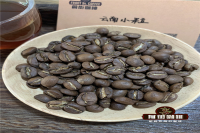The difference between Yunnan Coffee Bean Iron pickup and Katim Why is the flavor of Katim coffee beans criticized