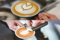 Video illustration of latte milking skills guide for beginners and beginners