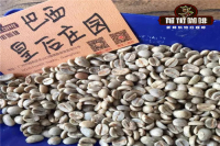Brazilian coffee beans | Flavor characteristics of fine coffee beans in Brazil-introduction to the flavor of sunburned coffee beans in Queen's Manor.
