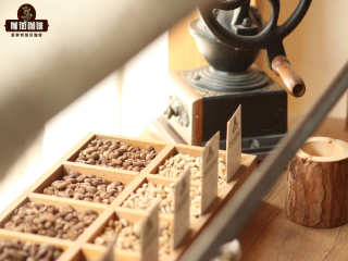 Description of Sidamo Coffee characteristics, Flavor and Taste introduction of hand-brewing methods of Huakui Coffee Bean varieties