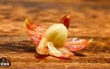 Sun-to-half-sun peel sun-to-sun honey processing steps What is the difference in coffee flavor characteristics?