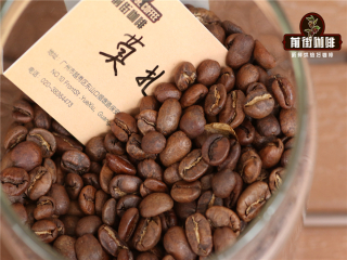 Flavor description of Costa Rican Mozart coffee beans introduction to the proportion of brewing water temperature of Mozart coffee