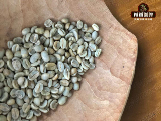 Is Rosa tasting good? Evaluation of taste characteristics of Colombian rose summer blended coffee beans-Huayan coffee beans.