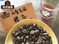 Historical story of the origin of Colombian Castillo coffee beans what coffee beans are hybrid of Castiyou coffee beans