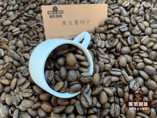 Introduction to the Variety and Grade of Indonesian PWN Gold Mantenin Coffee beans Flavor characteristics and hand-making requirements of Mantenin producing area in Indonesia