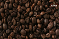 Benefits of Robusta Coffee Beans Features Weight Loss Robusta Coffee Bean Grading System Coffee Bean Price