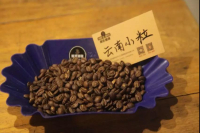 Which Yunnan coffee bean best belongs to what kind of coffee bean? Evaluation of the characteristics and flavor of Yunnan coffee beans and Vietnamese coffee beans?