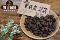 Introduction to the Classification characteristics of the planting History of Hawaiian Coffee Manor is Hawaii's top Kona coffee beans good?
