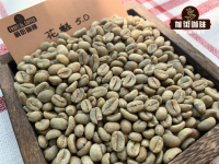 The practice of siphon coffee the taste and flavor of Sidamo Sakui coffee in a siphon pot.