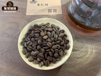 Delicious black coffee recommended by Costa Rican musicians series of Mozart coffee flavor characteristics
