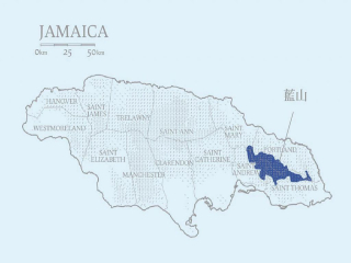 Four major estates of Blue Mountain Coffee in Jamaica introduce the characteristics of Blue Mountain No. 1 coffee beans in Clifton Manor.