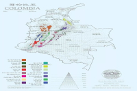 Colombian Coffee introduces the Colombian coffee grading system in the producing area of Colombian boutique coffee.