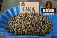 Vietnamese Coffee | Coffee planting in Vietnam Coffee production areas