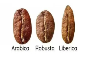 Why is the Philippines the largest producer of crops in Liberia?