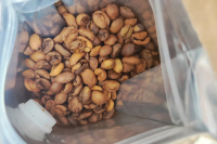 What is the reason for the uneven color of coffee beans? Why do light-roasted coffee beans vary in color?