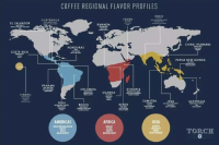 Where are the main coffee producing areas in the world | introduction to the distribution map of coffee belt in coffee bean producing areas