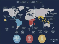 Where are the main coffee producing areas in the world | introduction to the distribution map of coffee belt in coffee bean producing areas