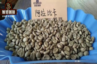 Arabica coffee bean variety catalogue, detailed introduction of Arabica mainstream variety knowledge.
