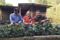 2022BOP Coffee Competition Hartman Manor Chicho gayo/gallo Qiqiao Jiayu Coffee Bean is Rosa Variety