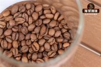 The most common five kinds of coffee beans in coffee shops introduce what coffee beans are the most classic