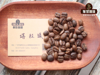 The flavor and taste of Costa Rican coffee beans introduce how to bake very hard coffee beans with low density