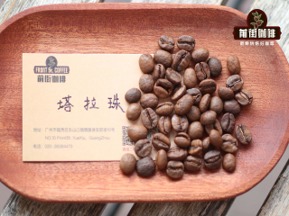 The flavor and taste of Costa Rican coffee beans introduce how to bake very hard coffee beans with low density