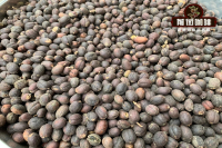 Yunnan Baoshan Coffee Bean Flavor Taste Characteristics Yunnan Iron Card Coffee Bean Taste Introduction