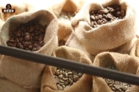 Coffee Bean Grade AA, G1, SHB Raw Bean grading method introduction to Ethiopia Kenya Coffee grading