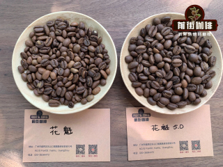 Which tastes better, Huakui coffee beans or Arabica coffee beans? Arabica coffee beans taste good.