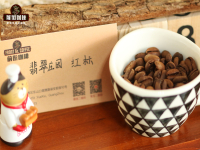 The Chinese name of Panama Geisha is 