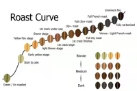 Roasted coffee beans turn yellow a burst point to judge the course coffee taste astringency is what is the reason for roasting?