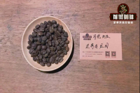 Colombian coffee beans | introduction of boutique coffee beans in San Jose Manor. What is the rum oak barrel fermentation method? Is it the same as the sherry barrel in Honduras?