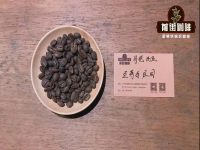 Colombian coffee beans | introduction of boutique coffee beans in San Jose Manor. What is the rum oak barrel fermentation method? Is it the same as the sherry barrel in Honduras?