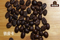 The story and characteristics of iron pickup coffee beans are there any varieties of iron pickup coffee that belong to Arabica?