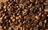 How long does it take to grow espresso beans? How long is the cultivation period of hand brewed coffee beans? Why coffee beans?