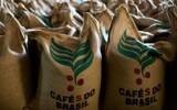 Brazil's CECAF É released coffee bean export report, export performance is good and production is expected to pick up
