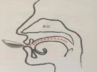 Introduction to the correct drinking method of hand-brewed coffee what is the function of the cup test sipping method?