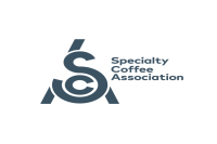 Is it easy to find a job after taking the SCA barista certificate? Is the SCA barista certificate rich in gold? Does SCA Coffee Theory work?