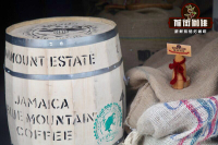 How can authentic Blue Mountain Coffee identify the temperature of Jamaica Blue Mountain Coffee beans?