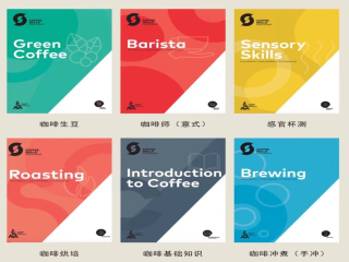 How many levels of baristas qualification certificate should be tested? SCA Coffee Certification Test what is the amount of money?