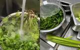 Wash coriander and choose celery! Did the new Xi tea product 